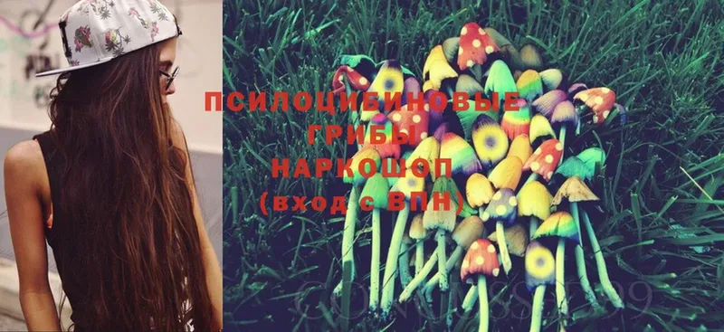 Галлюциногенные грибы MAGIC MUSHROOMS  закладка  Шагонар 